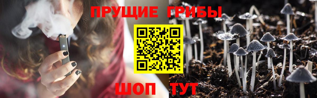 Галлюциногенные грибы Magic Shrooms  Вход с VPN  Псилоцибиновые грибы GOLDEN TEACHER  Красноуфимск 